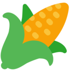 Ear of Corn