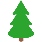 Evergreen Tree