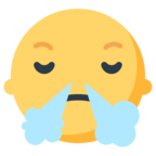 Face with Steam From Nose