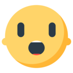 Face with Open Mouth