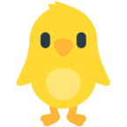 Front-Facing Baby Chick