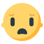 Frowning Face with Open Mouth