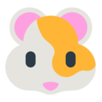 Hamster