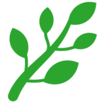Herb