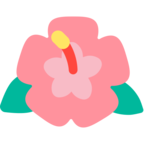 Hibiscus
