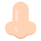 Nose