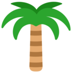Palm Tree
