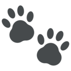 Paw Prints