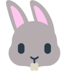 Rabbit Face