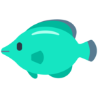 Tropical Fish