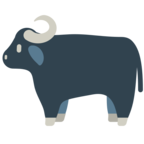 Water Buffalo