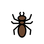 Ant
