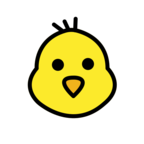 Baby Chick
