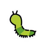 Bug
