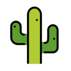 Cactus