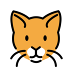 Cat Face