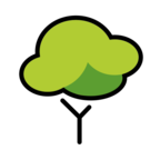 Deciduous Tree