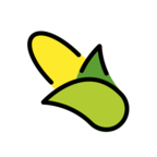 Ear of Corn