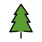 Evergreen Tree