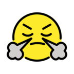 Face with Steam From Nose