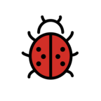 Lady Beetle