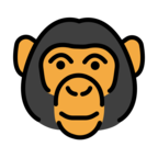 Monkey Face