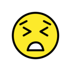 Persevering Face