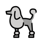 Poodle