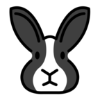 Rabbit Face