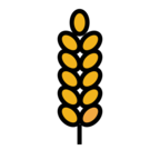 Sheaf of Rice