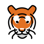 Tiger Face