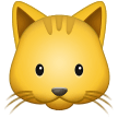 Кошачья морда