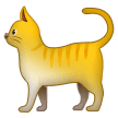 Кот