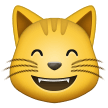 Улыбающийся кот с улыбающимися глазами