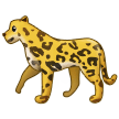 Леопард