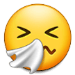 Чихающее лицо