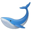 Кит