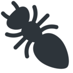 Ant