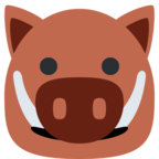 Boar