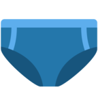 Briefs