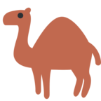 Camel