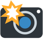 Camera with Flash