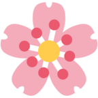Cherry Blossom