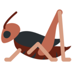Cricket