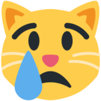 Crying Cat