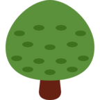 Deciduous Tree