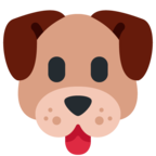 Dog Face