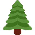 Evergreen Tree