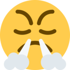 Face with Steam From Nose