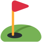 Flag in Hole